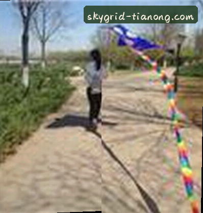 王芳