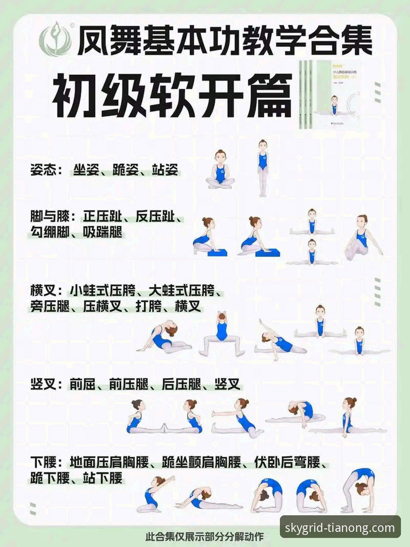 TIANONG体育数据官网实用技巧：从入门到精通的必备知识